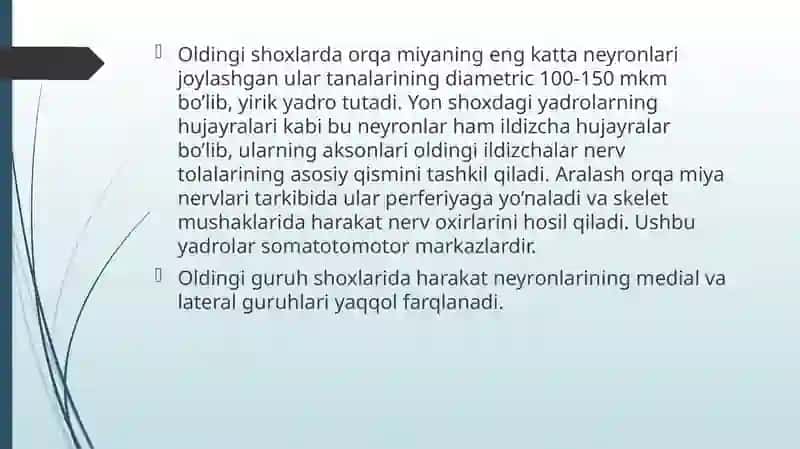 Orqa miyaning harakatlantiruvchi neyronlarning turlari, ularning morfofunksional xususiyatlari 2