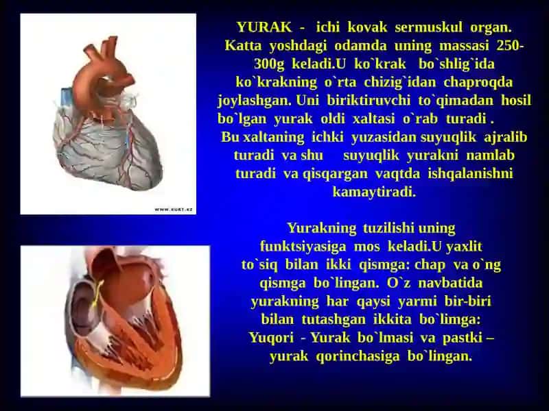 Kattavakichik qonaylanish doirasi 2