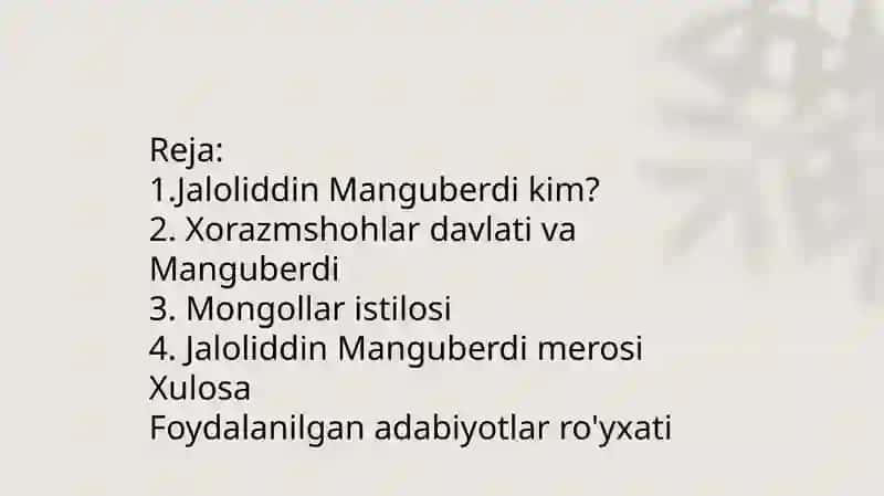 Jaloliddin Manguberdi Vatan himoyachisi 2