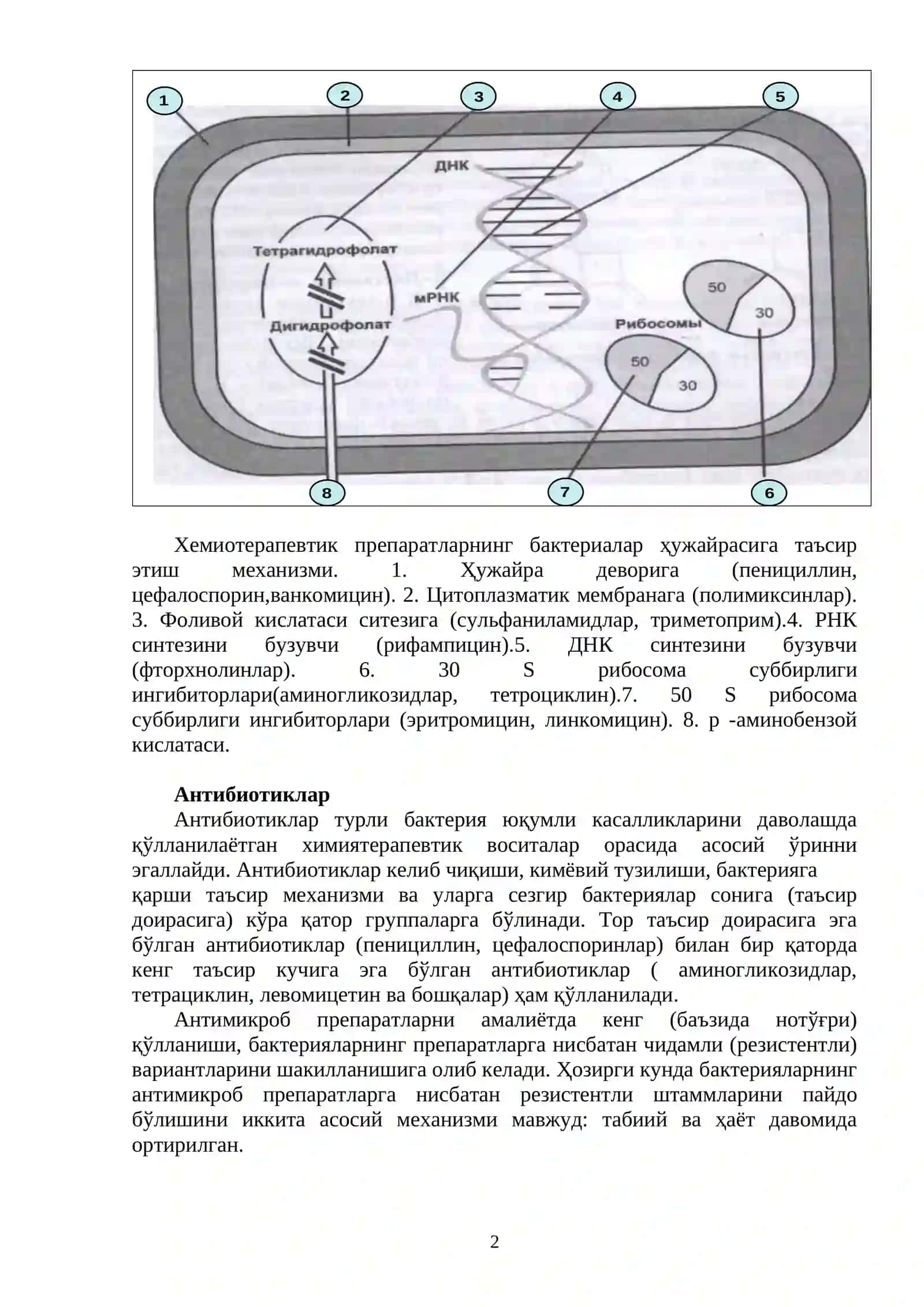 Химиотерапевтик препаратлар. Антибиотиклар. Микроорганизмларни антибиотикларга сезгирлигини аниқлаш 2