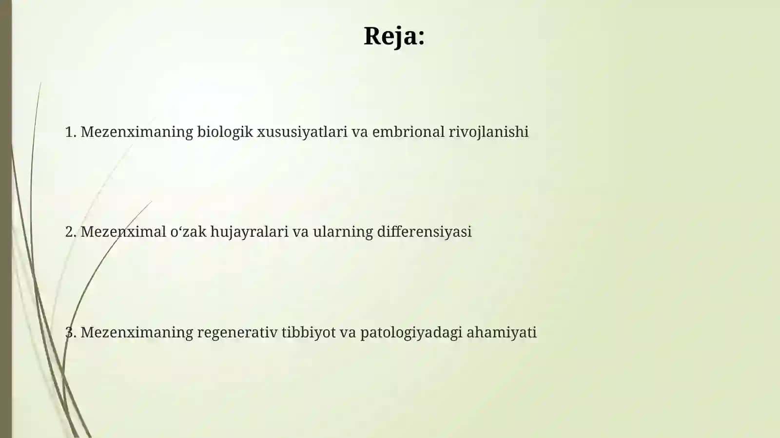 Mezenxima: ta'rifi, kelib chiqishi va embrional rivojlanishdagi o‘rni 2