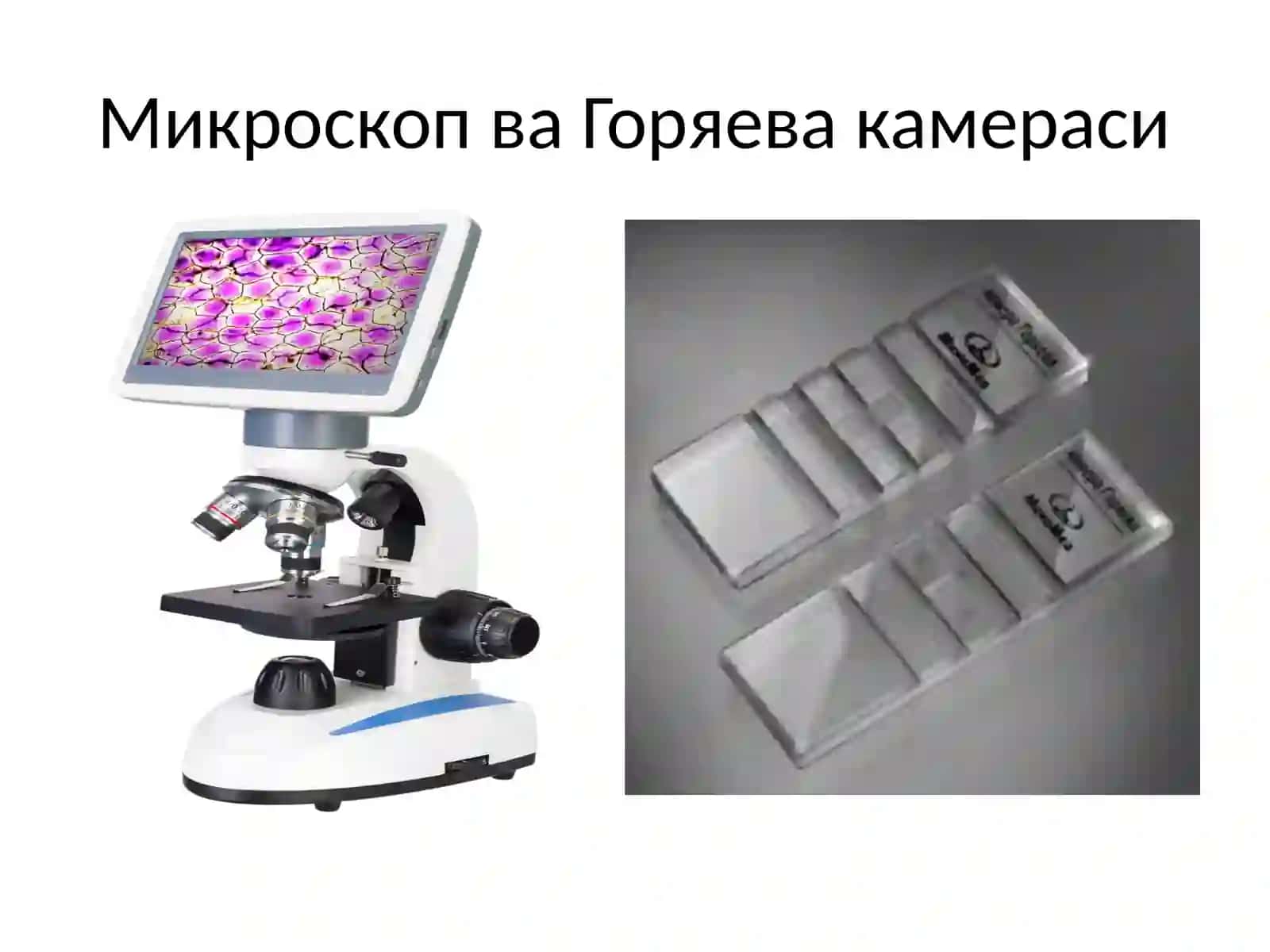 Қон клиник таҳлили ва унинг диагностик аҳамияти 2