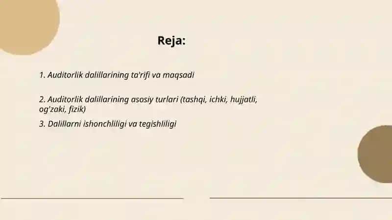 Auditorlik dalillari 2