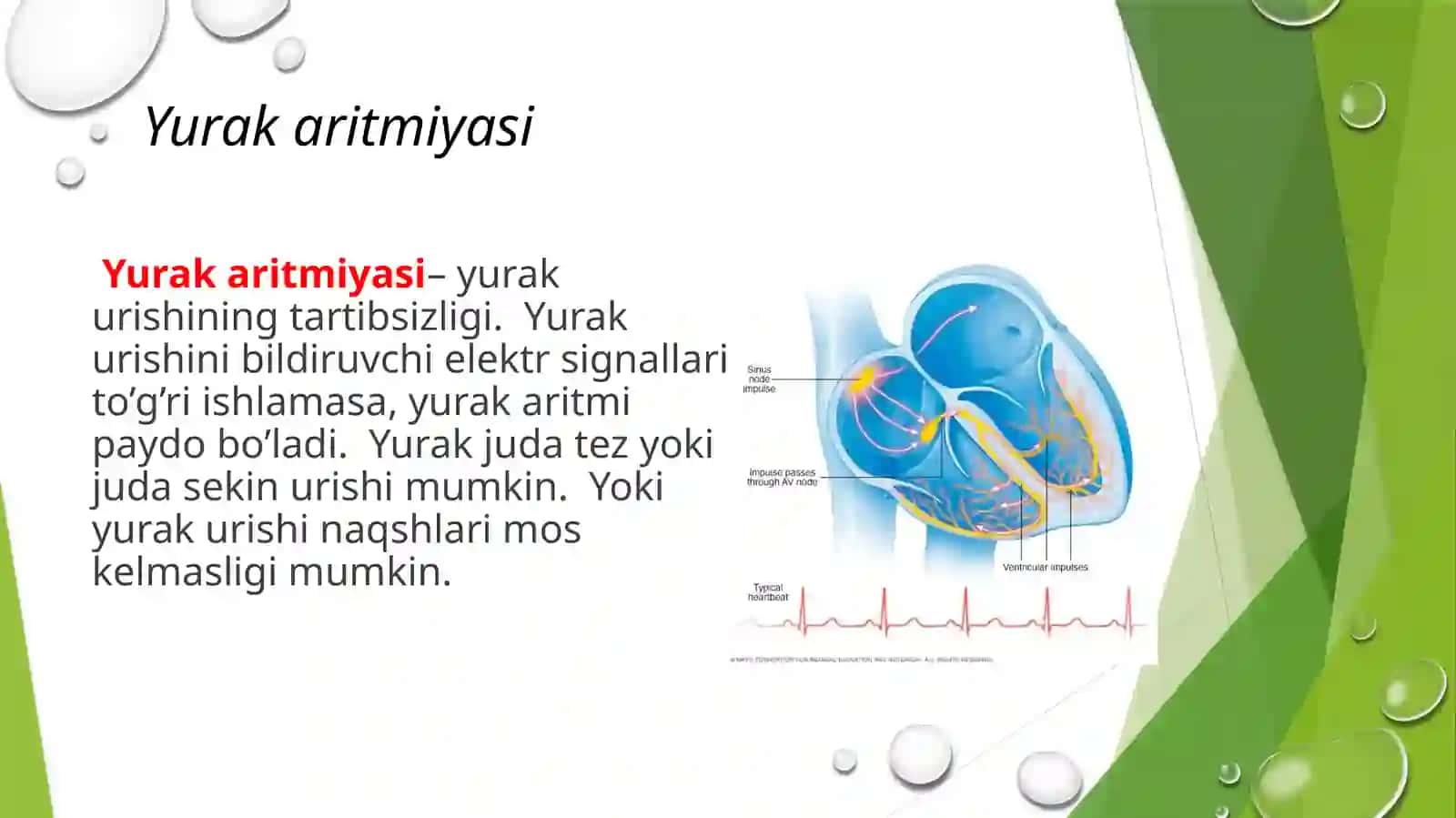Yurak aritmiyalari EKG diagnostikasi 2