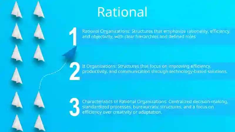 Rational Organizations 2