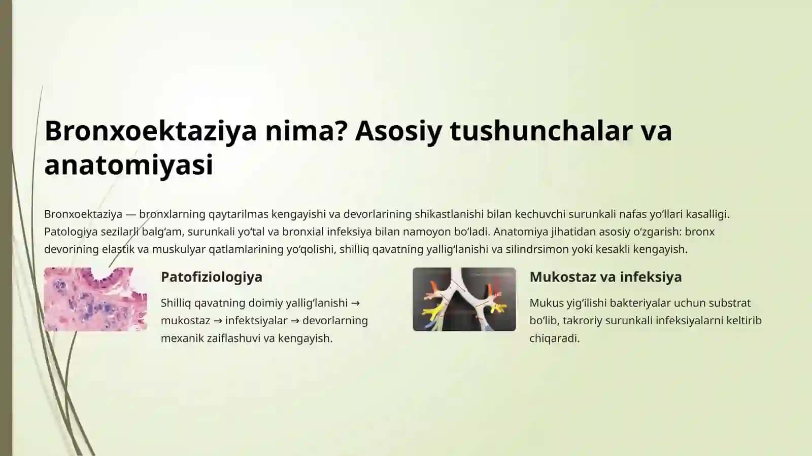 Bronxoektatik Kasallik Diagnostikasi: To'liq Qo'llanma 2