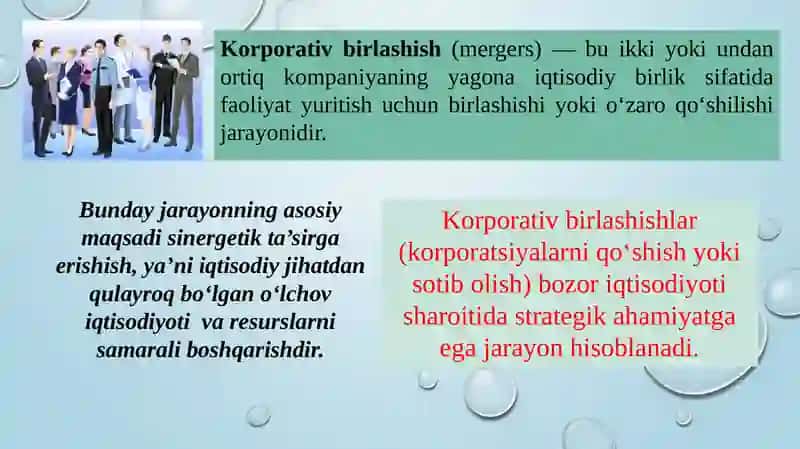 Korporativ birlashmalar va ularda korporativ boshqaruv mexanizmi 2