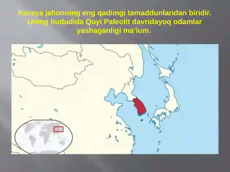 Janubiy Koreya aholisi Bajardi: Xayrullayeva Nafisa 2