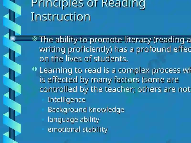 Principles of Reading Instruction 2