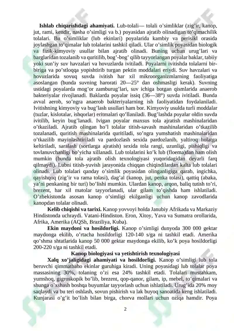 Kanop morfologiyasi,biologiyasi va yetishtirish texnologiyasi 2