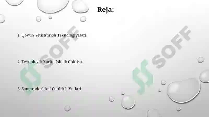 Qovun Yetishtirish va texnalogik xarita tuzish 2