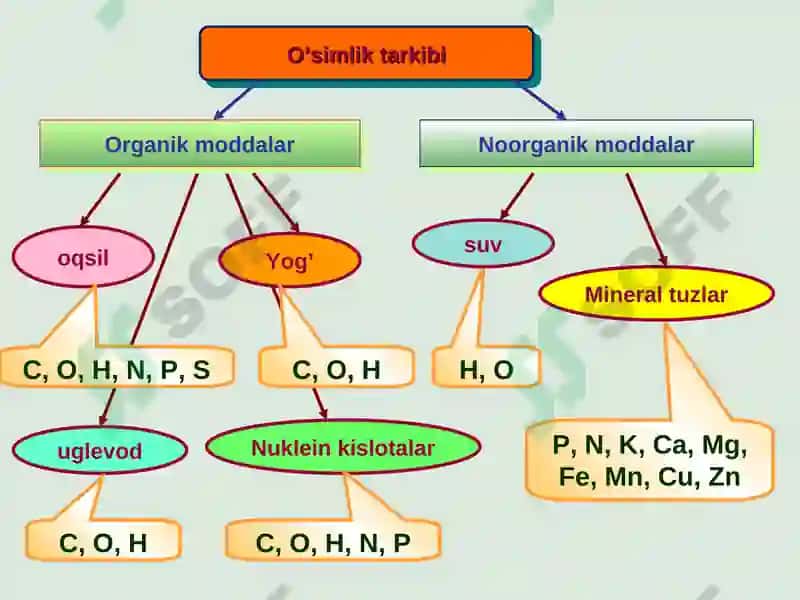 Mineral o’g’itlar 2