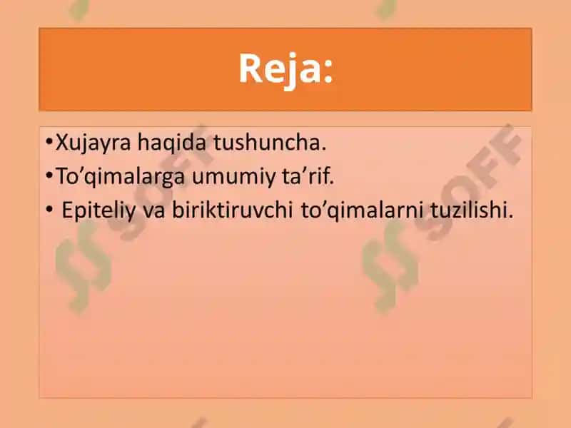 Hujayra Tuzilishi 2