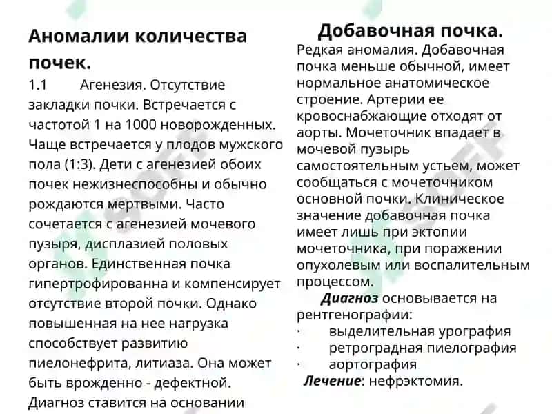 Аномалии количества почек 2