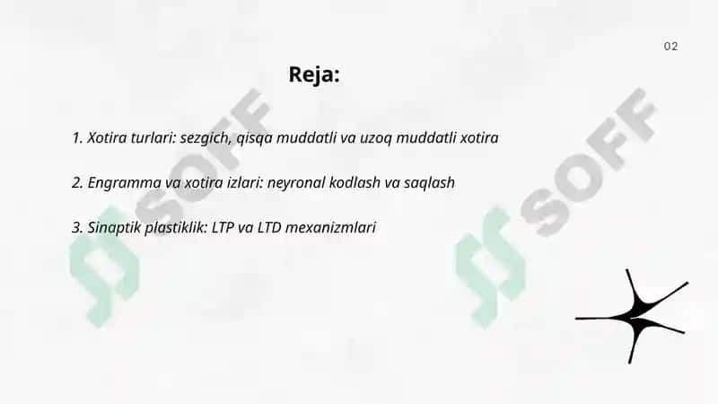 Xotira va hayolning nerv fiziologik asoslari turlari va jarayonlari 2
