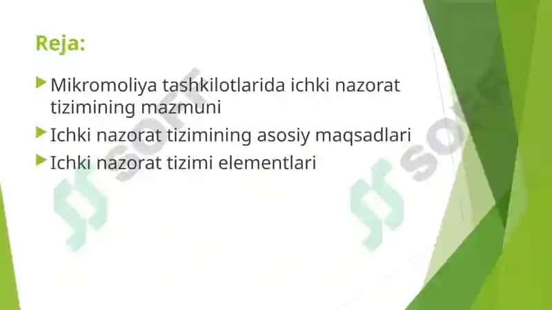 Mikromoliya tashkilotlarida ichki nazorat tizimi 2