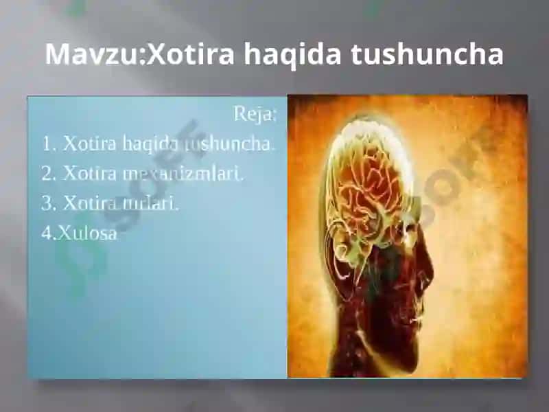 Xotira haqida tushuncha 2