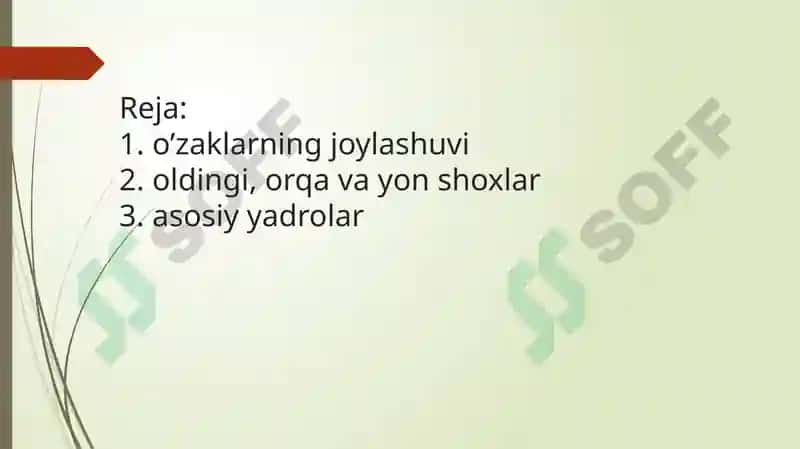ORQA MIYA O‘ZAKLARINING JOYLASHUVI VA ULARNING AHAMIYATI 2