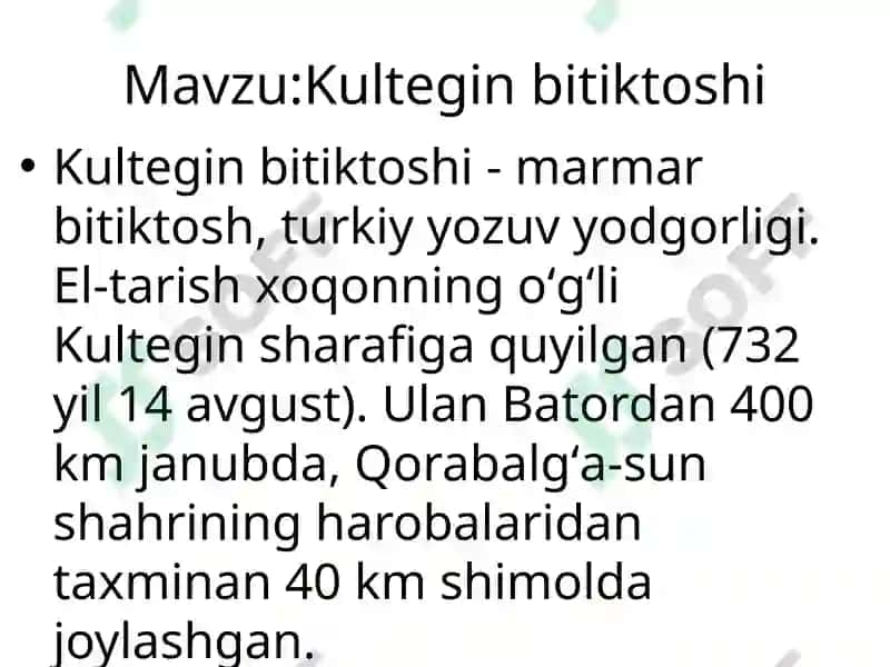 Kultegin Bitiktoshi 2
