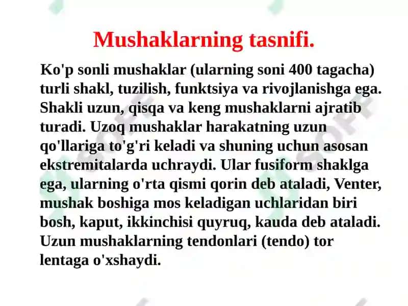 Gavda mukullari 2