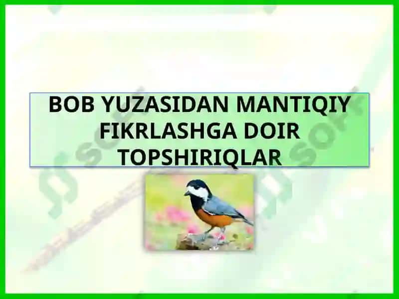 BOB YUZASIDAN MANTIQIY FIKRLASHGA DOIR TOPSHIRIQLAR 2