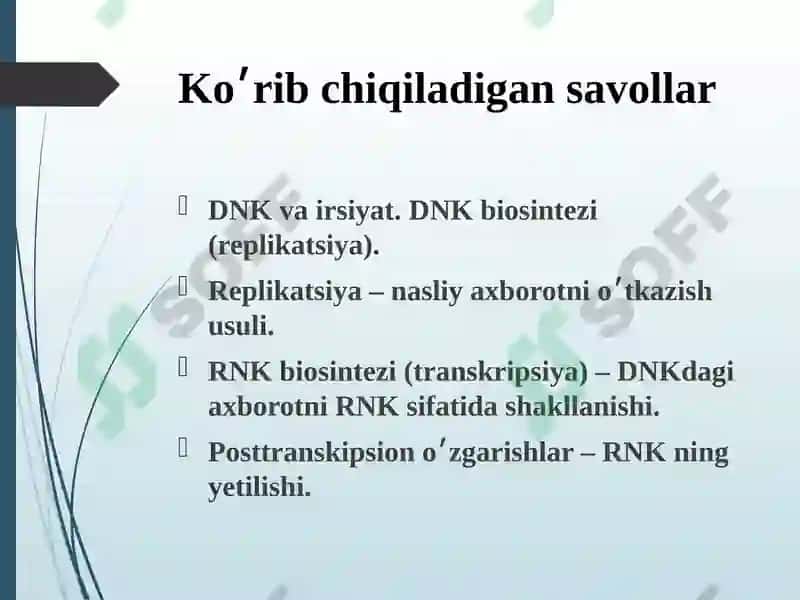 Nuklein kislotalar biosintezi 2