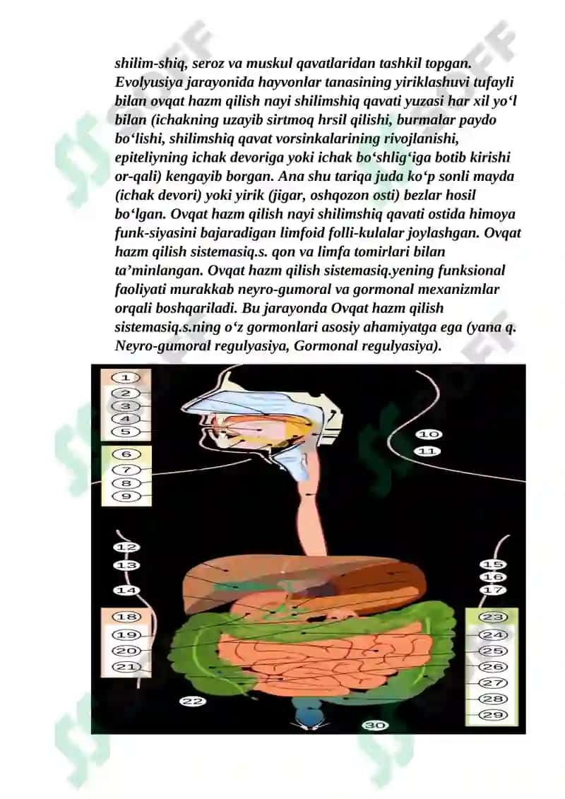 Hazim qilish sistemasi 2