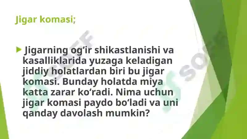Jigar hujayra yetishmovchiligi va jigar komasi vujudga kelishi biokimyoviy mexanizmlari. 2