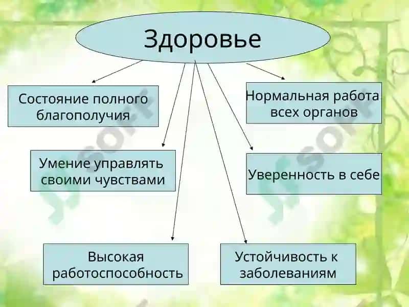 Гигиена 2