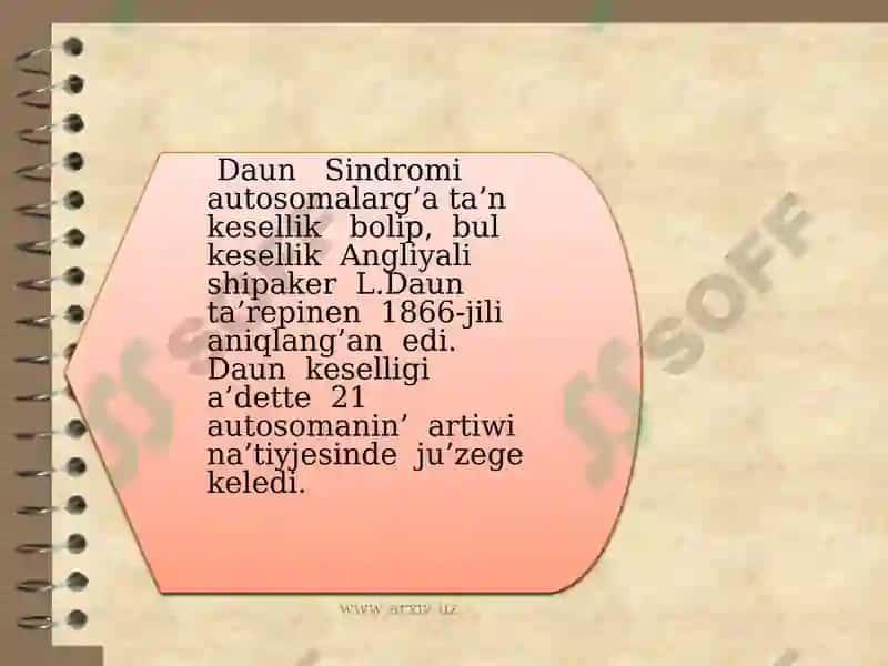 Daun Sindromi 2