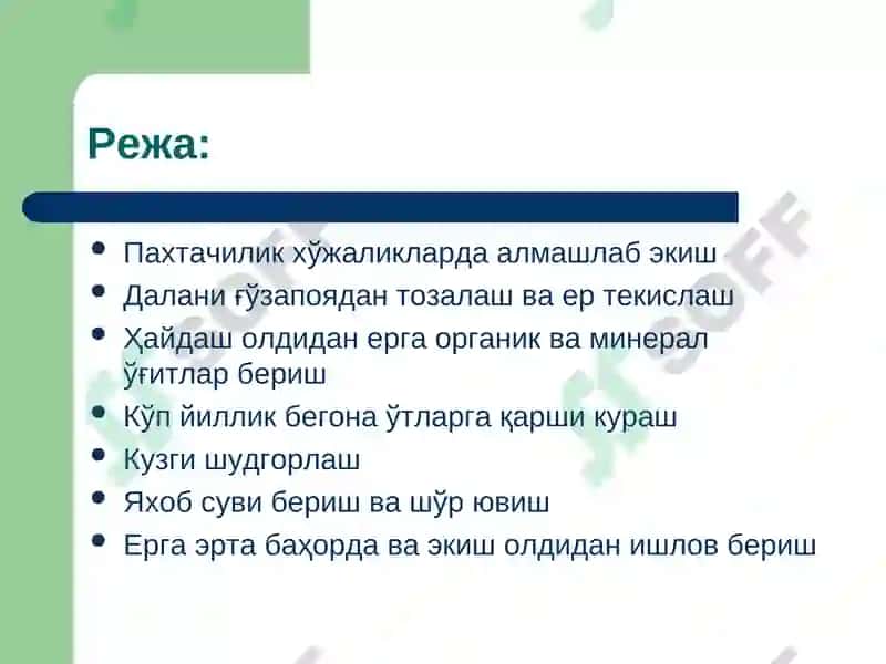 Пахтачилик хўжаликларда алмашлаб экиш 2