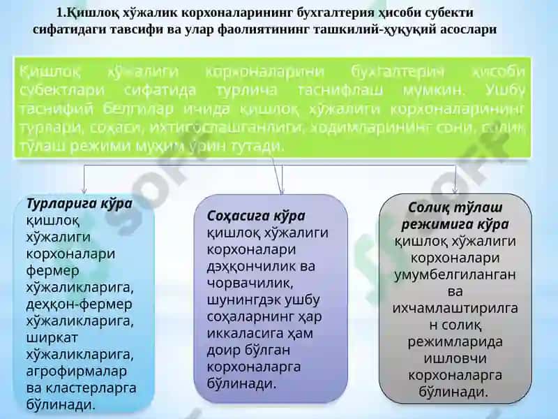 Қишлоқ хўжалиги корхоналарида бухгалтерия ҳисобини ташкил қилиш 2