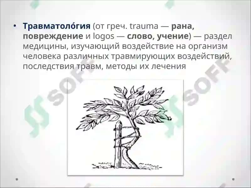 История травматологии и ортопедии в мире 2