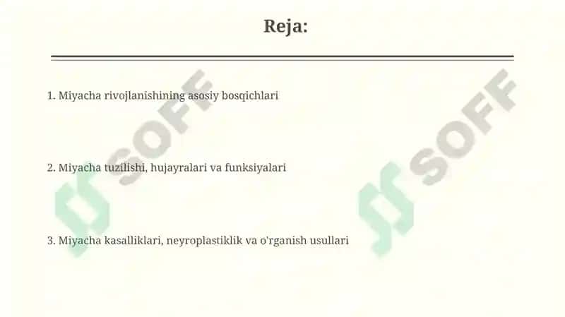 Miyachaning rivojlanish anatomiyasi 2