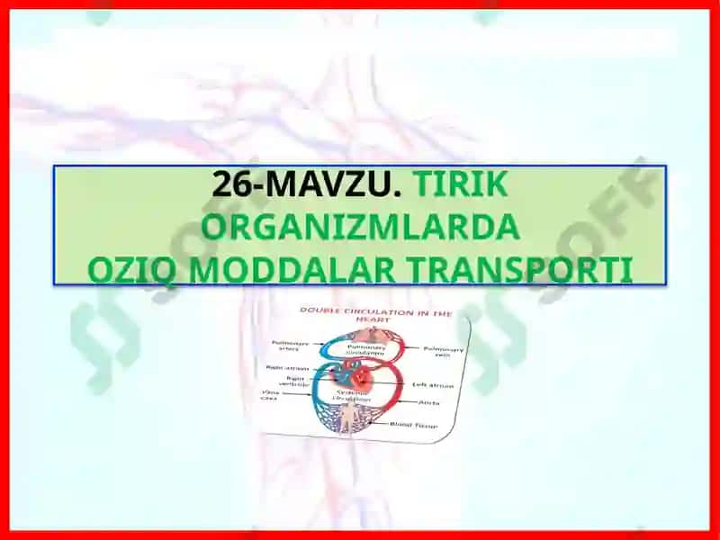 TIRIK ORGANIZMLARDA OZIQ MODDALAR TRANSPORTI 2