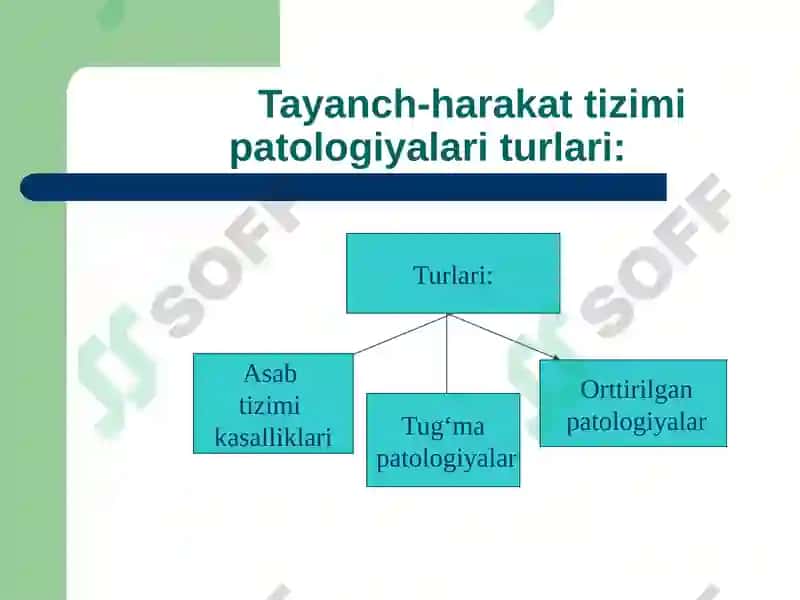 Tayanch-harakat apparatida nuqsonlari bо‘lgan bolalar rivojlanishining o‘ziga xos xususiyatlari 2
