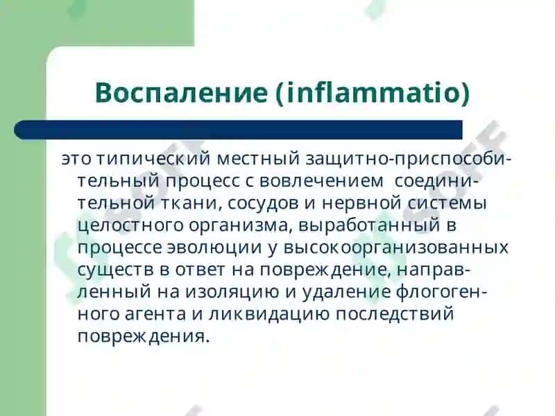 Патофизиология воспаления, лекция 3 2