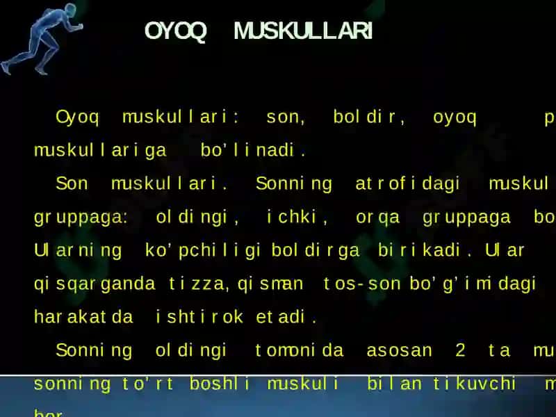 oyoq muskullari 2