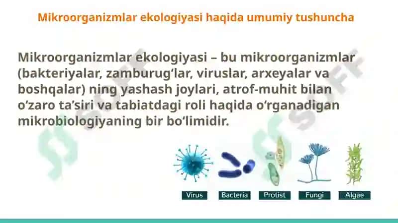 Мikroorganizmlar ekologiyasi. Inson tanasining normal mikroflorasi va uning ahamiyati va vazifalari. Disbakteriozlar 2