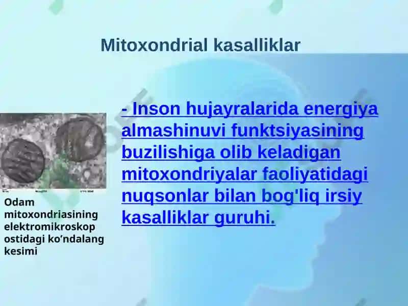 Mitoxondrial kasalliklar 2