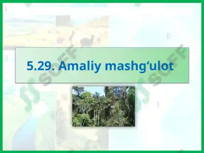 Rasmning uzatish va quyi taklif etilgan savollar 2