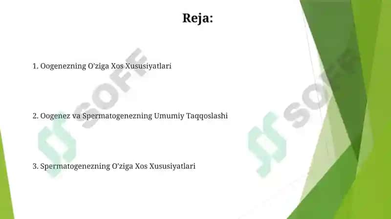 Oogenez va Spermatogenezning O'ziga Xos Xususiyatlari 2