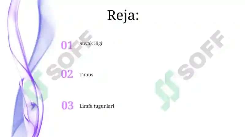 Timus 2