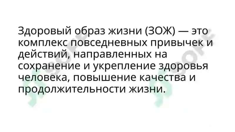 здоровый образ жизни 2