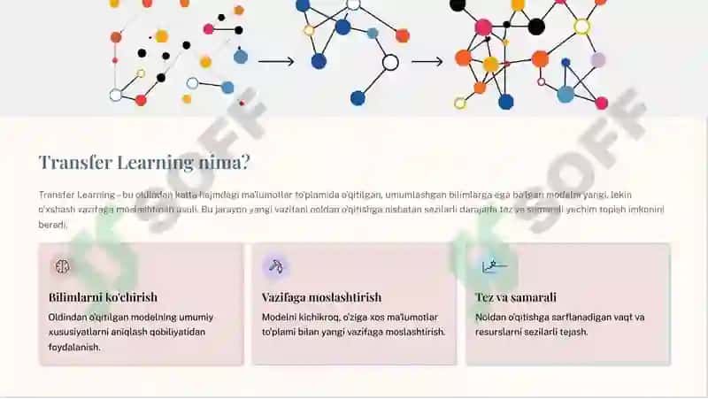 Transfer-Learning-va-Fine-tuning-Suniy-intellektda-yangi-imkoniyatlar 2