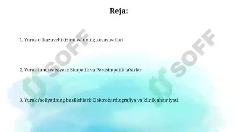 Yurakning o'tkazuvchi yo'llari. Yurak innervasiyasi 2