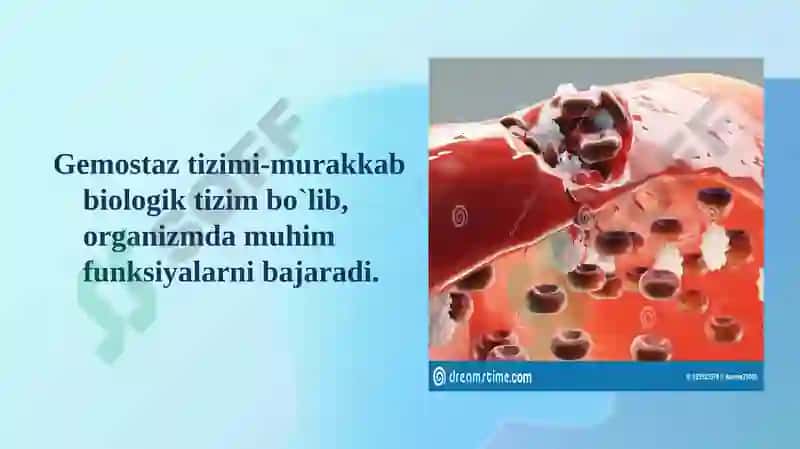 Qon ivish tizimi laborator diagnostikasi 2