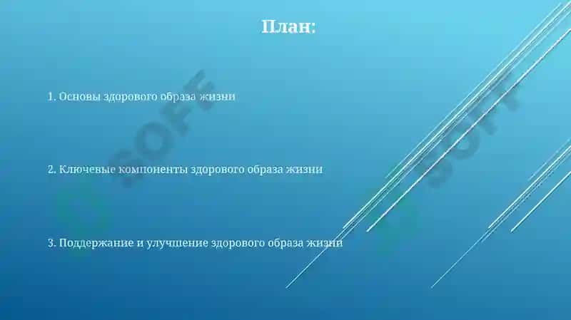 Основы здорового образа жизни 2