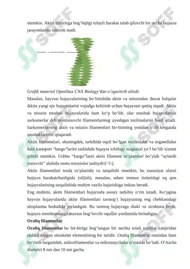 Hujayra Markazi va Mikronaychalarning O‘ziga Xosliklari va Vazifalari 2