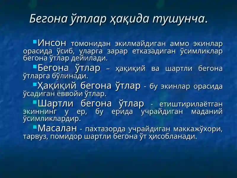 6-МАВЗУ.БЕГОНА ЎТЛАР ҲАҚИДА ТУШУНЧА, УЛАРНИНГ ЗАРАРИ ВА БИОЛОГИК ХУСУСИЯТЛАРИ 2